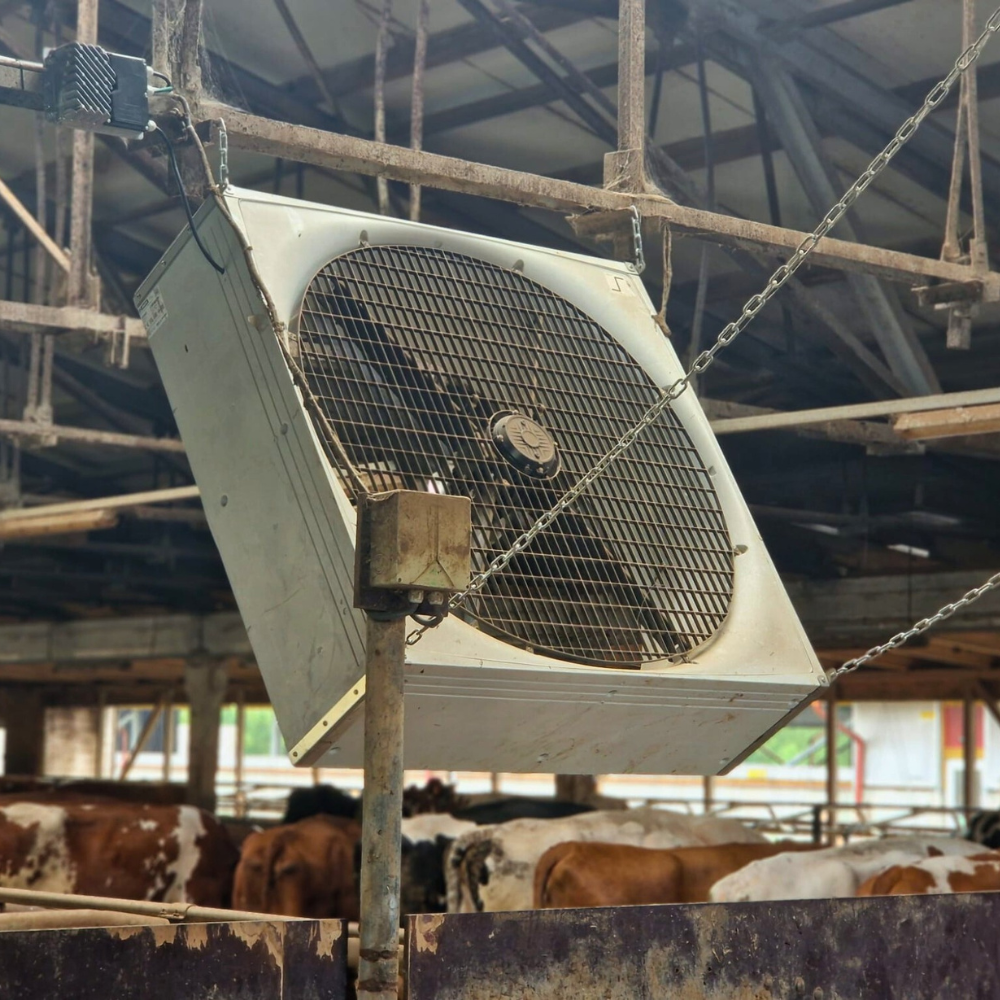 Ventilators BF 50 SuperFlow